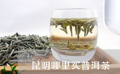 昆明哪里买普洱茶/2023031756159