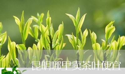 昆明哪里卖茶叶便宜/2023032284240