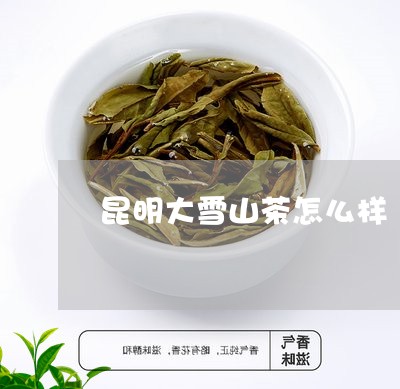 昆明大雪山茶怎么样/2023041486930