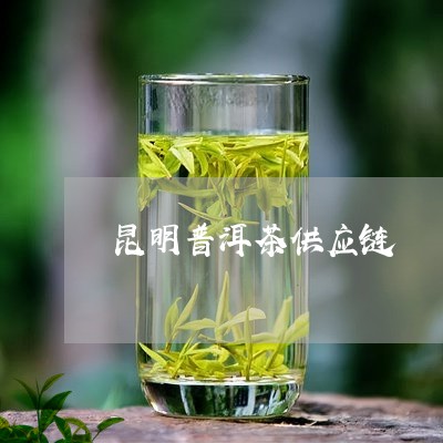 昆明普洱茶供应链/2023031638268