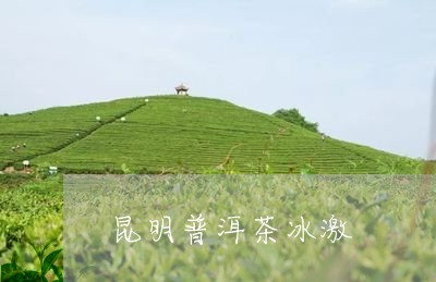 昆明普洱茶冰激/2023041089682