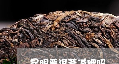 昆明普洱茶减肥吗/2023041349570