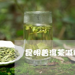 昆明普洱茶减肥店/2023041388202