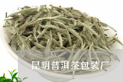 昆明普洱茶包装厂/2023041364137