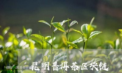 昆明普洱茶区块链/2023041089594