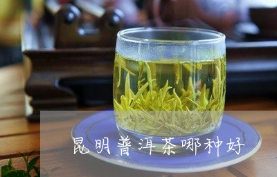 昆明普洱茶哪种好/2023031735371