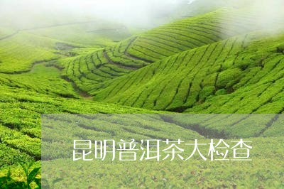 昆明普洱茶大检查/2023041080693