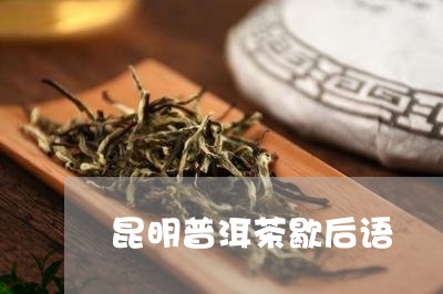 昆明普洱茶歇后语/2023041350705