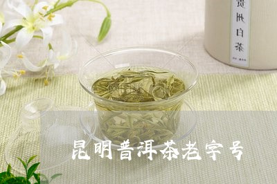 昆明普洱茶老字号/2023041242157