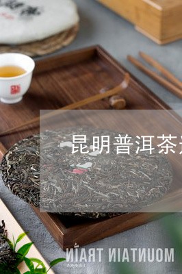 昆明普洱茶连锁店/2023040169413