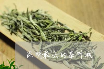 昆明最大的茶叶城/2023032669594