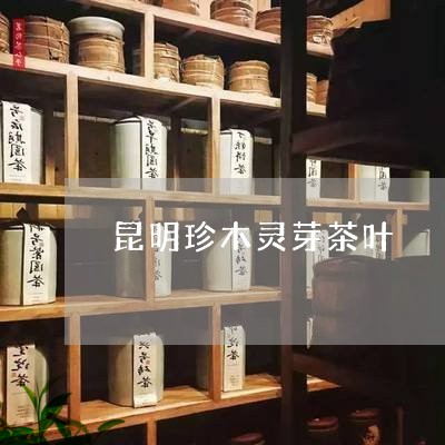 昆明珍木灵芽茶叶/2023032682615