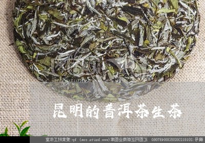 昆明的普洱茶生茶/2023041161627