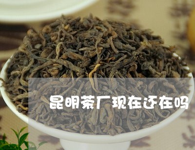 昆明茶厂现在还在吗/2023032058371