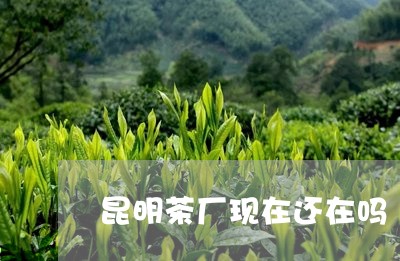 昆明茶厂现在还在吗/2023041624959