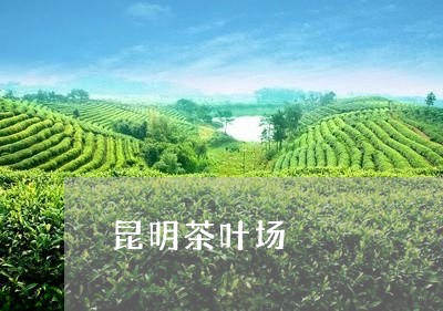 昆明茶叶场/2023041354140