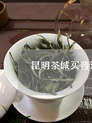 昆明茶城买普洱茶/2023041139816