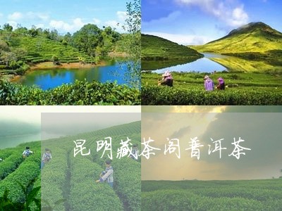 昆明藏茶阁普洱茶/2023041116938