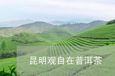 昆明观自在普洱茶/2023040930696