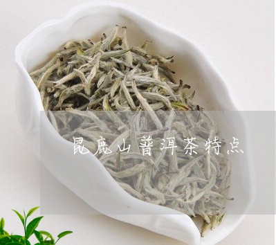 昆鹿山普洱茶特点/2023041204836