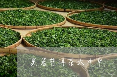 昊茗普洱茶大中华/2023033064039