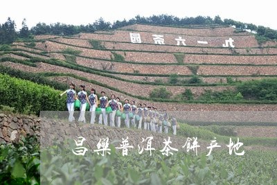 昌乐普洱茶饼产地/2023041246391