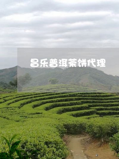 昌乐普洱茶饼代理/2023032982048