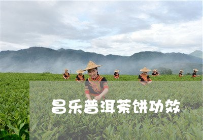 昌乐普洱茶饼功效/2023041071593