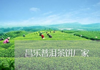 昌乐普洱茶饼厂家/2023031626081