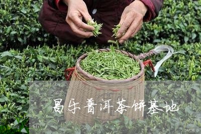 昌乐普洱茶饼基地/2023041260613