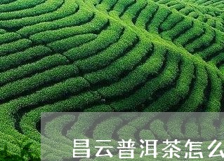 昌云普洱茶怎么样/2023031789693