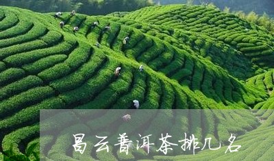 昌云普洱茶排几名/2023041381716