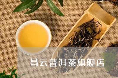 昌云普洱茶旗舰店/2023041374049