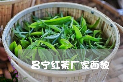 昌宁红茶厂家面貌/2023032436149