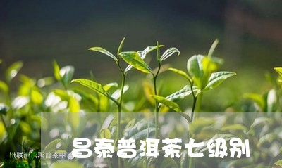 昌泰普洱茶七级别/2023033058582