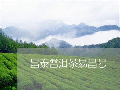 昌泰普洱茶易昌号/2023033103840