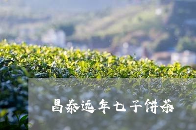 昌泰远年七子饼茶/2023032598693