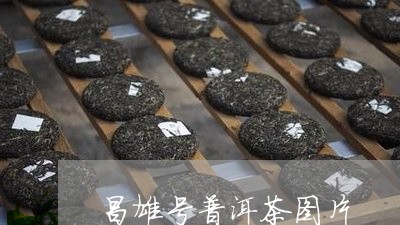 昌雄号普洱茶图片/2023040187069