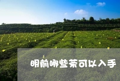 明前哪些茶可以入手/2023031973814