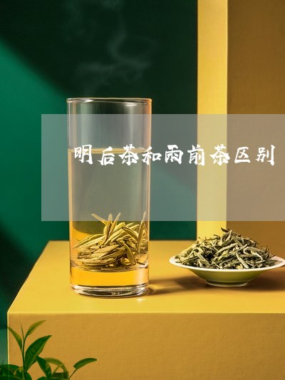 明后茶和雨前茶区别/2023041695269