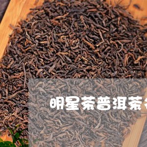 明星茶普洱茶名称/2023041007269