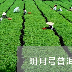 明月号普洱茶标志/2023041015251