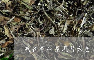 明朝曼松茶图片大全/2023031862816