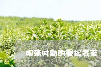 明清时期的曼松贡茶/2023041568292