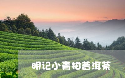 明记小青柑普洱茶/2023033163827