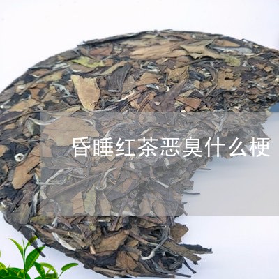 昏睡红茶恶臭什么梗/2023041483030