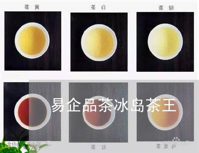 易企品茶冰岛茶王/2023032860714