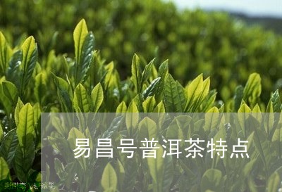 易昌号普洱茶特点/2023031697362