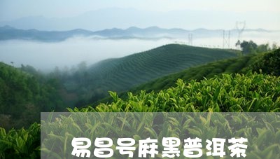 易昌号麻黑普洱茶/2023033175938