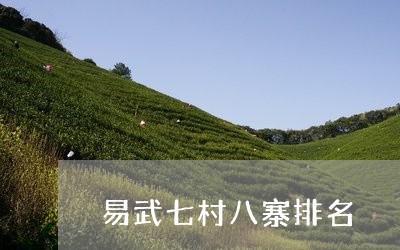 易武七村八寨排名/2023031830494